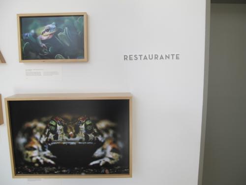 A entrada para o restaurante A entrada para o restaurante