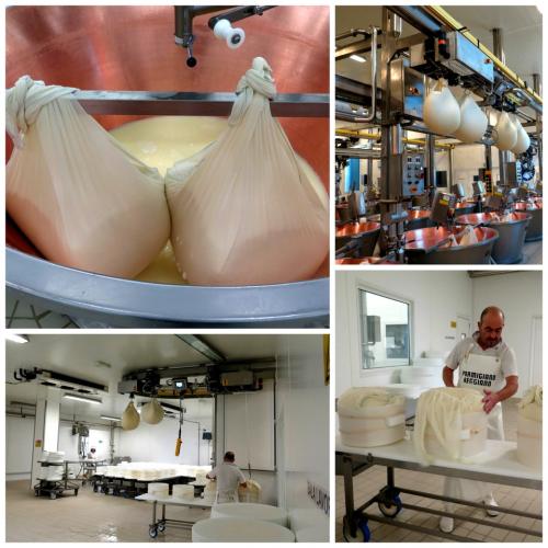 4 Madonne Caseificio dell’Emilia 4 Madonne Caseificio dell’Emilia