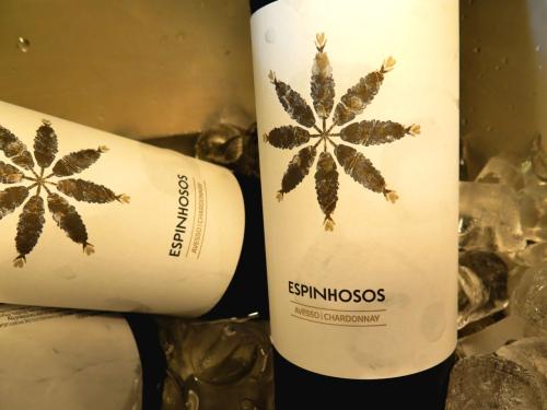 Espinhosos branco 2015