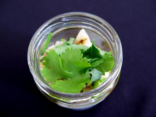 Choco em Salada de Legumes Assados