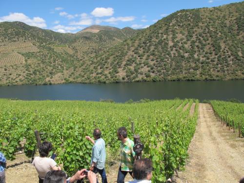 Quinta da Leda Quinta da Leda