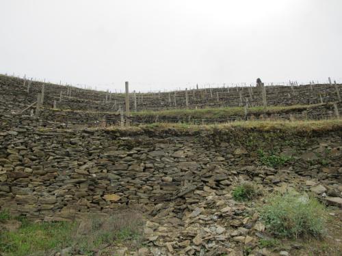 Quinta do S&iacute;bio