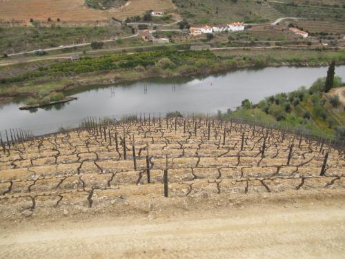 Quinta dos Aciprestes Quinta dos Aciprestes