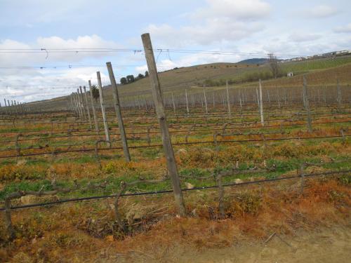 Quinta do Casal da Granja