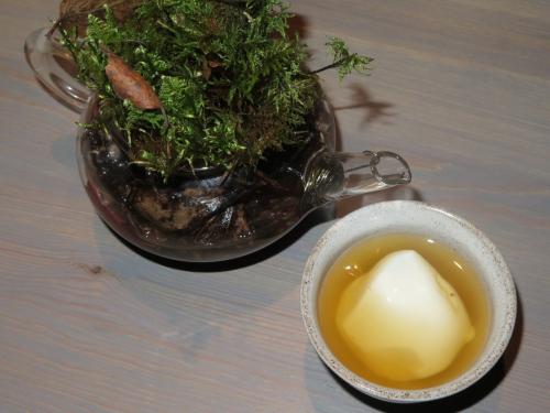 Broth of smoked and dried reindeer, decomposing leaves, very fresh curds and crowberries