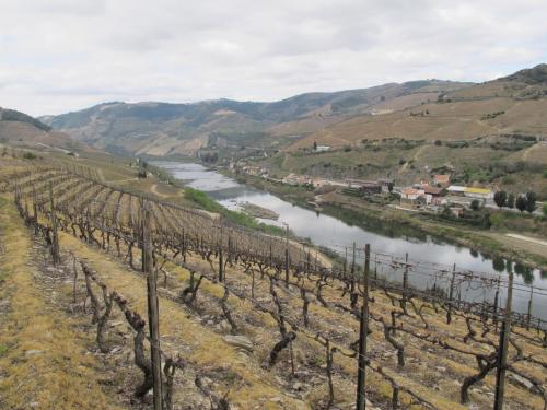 Quinta dos Aciprestes... ao longo do Douro Quinta dos Aciprestes... ao longo do Douro