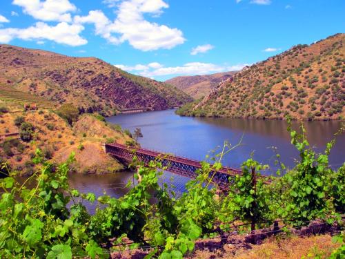 Rio Douro