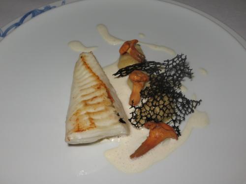 PEIXE-GALO