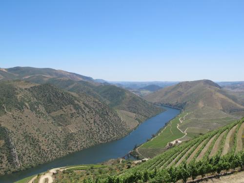 Rio Douro... visto da Quinta de Castelo Melhor