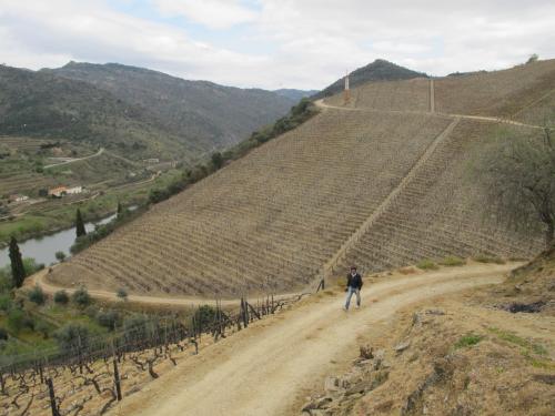 Quinta dos Aciprestes Quinta dos Aciprestes