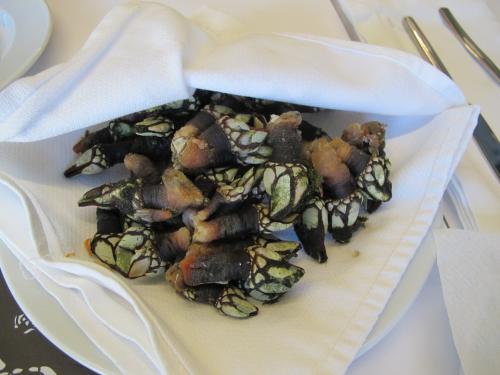 Percebes