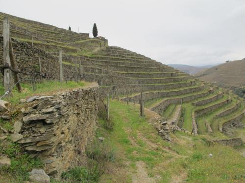 Quinta do S&iacute;bio