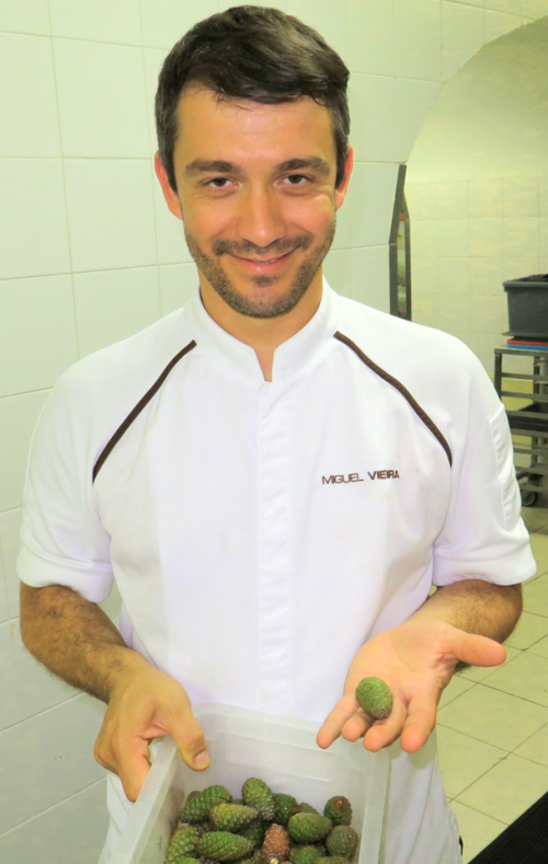 Miguel Rocha Vieira