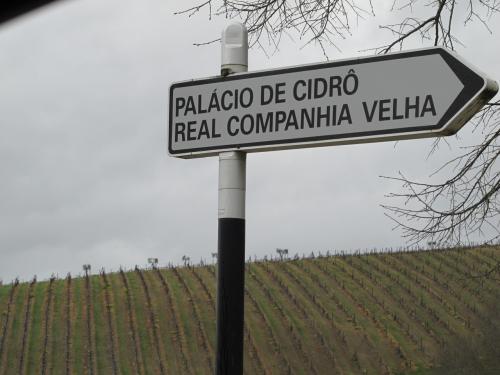 Pal&aacute;cio de Cidr&ocirc;