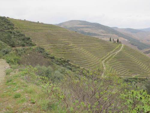 Quinta do S&iacute;bio