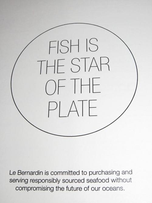 fish fish