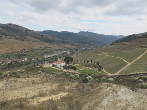 Quinta dos Aciprestes Quinta dos Aciprestes