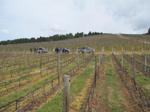 Quinta do Casal da Granja