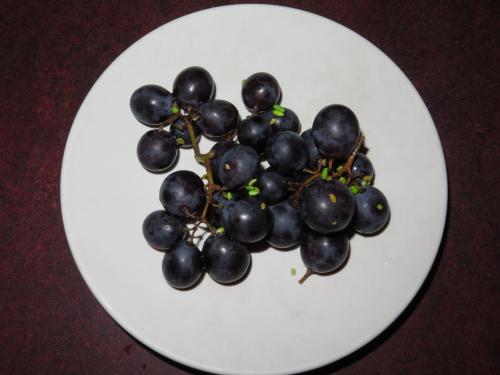 uvas .JPG