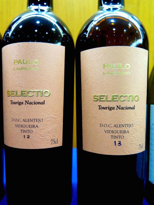 Tinta Grossa na Vidigueira, um vinho único no mundo Tinta Grossa na Vidigueira, um vinho único no mundo