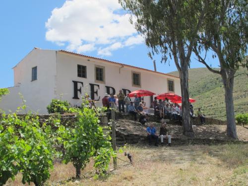 Ferreira