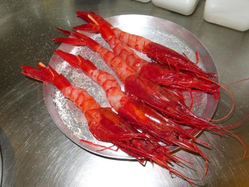 Carabineiros