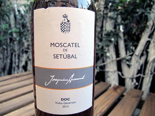 Moscatel de Set&uacute;bal