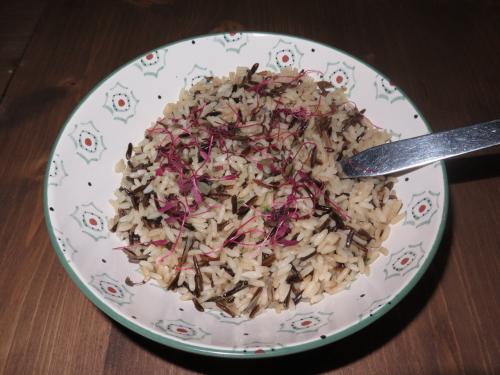 Arroz Selvagem