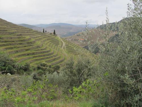 Quinta do S&iacute;bio