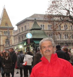 Henrique Salles da Fonseca, Budapeste.jpg