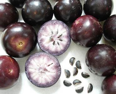 FGA-FRUTA ROXA.jpg FGA-FRUTA ROXA.jpg