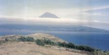 Pico