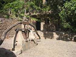 MADUFA-1.jpg MADUFA-1.jpg