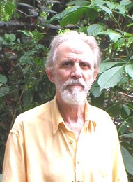 Francisco Gomes de Amorim Francisco Gomes de Amorim