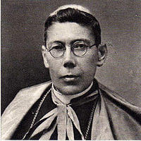D. Teodosio Clemente de Gouveia.jpg