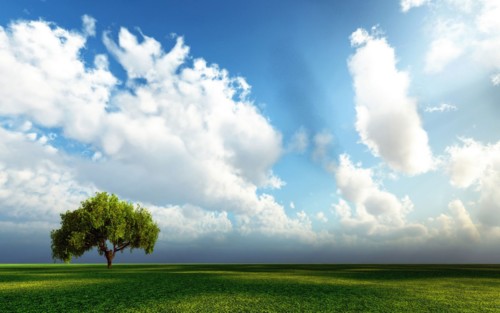 nuvens-ceu-azul.jpg nuvens-ceu-azul.jpg