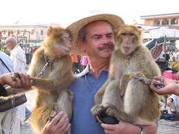 Henrique em Marrakesh.jpg