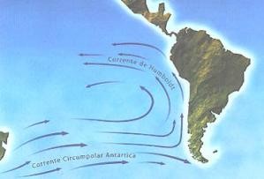 Corrente de Humboldt.jpg Corrente de Humboldt.jpg