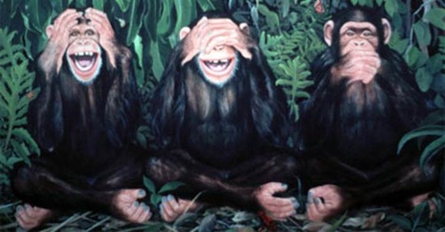 FGA-MACACOS CHINESES.jpg FGA-MACACOS CHINESES.jpg