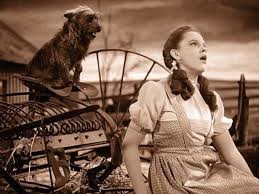 BB-Judy Garland.jpg