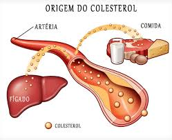 colesterol.png colesterol.png