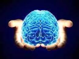 Carebral.png Carebral.png