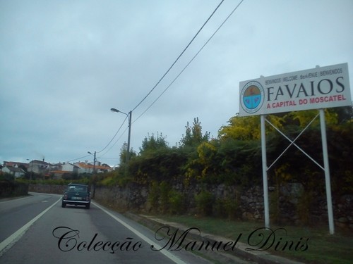 2&ordf; Rota do Moscatel 2016 Favaios  (251).jpg