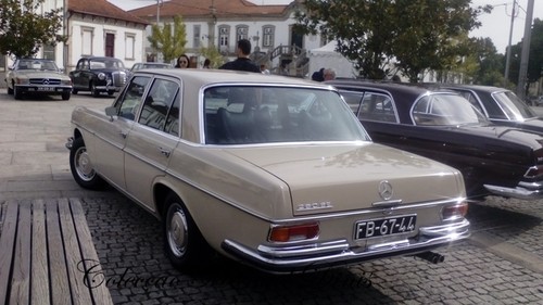 XXXIV Passeio Mercedes-Benz  (8).jpg