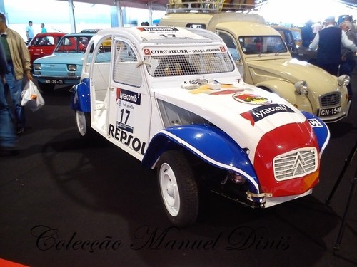 XXV Automobilia 2017 (130).jpg