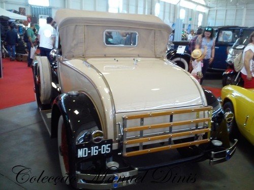 XXV Automobilia 2017 (81).jpg