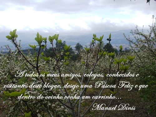 Páscoa Feliz  2012