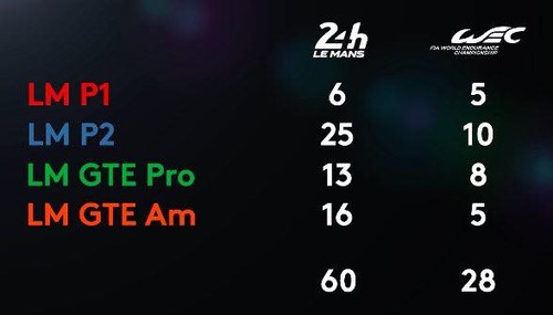 16427604_10208483691352792_535457342851641843_n.jp