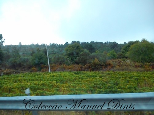 2&ordf; Rota do Moscatel 2016 Favaios  (230).jpg
