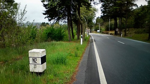 naciona2_023771ccc7.jpg naciona2_023771ccc7.jpg